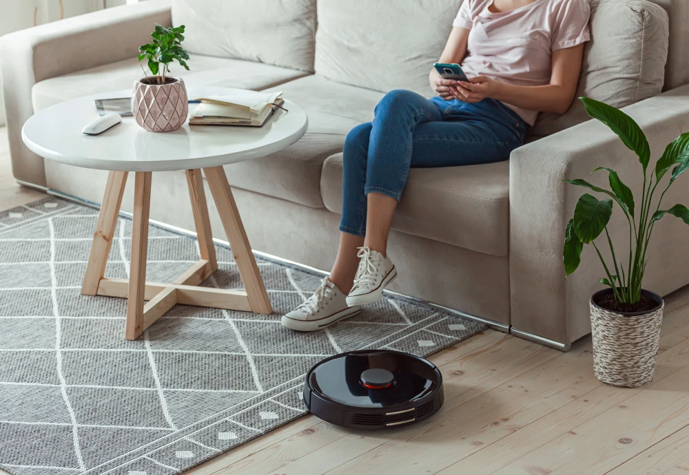 robot vacuum cleaner and mop